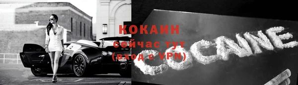 шишки Абинск