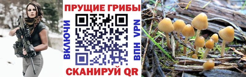 Галлюциногенные грибы GOLDEN TEACHER  площадка как зайти  Электроугли 
